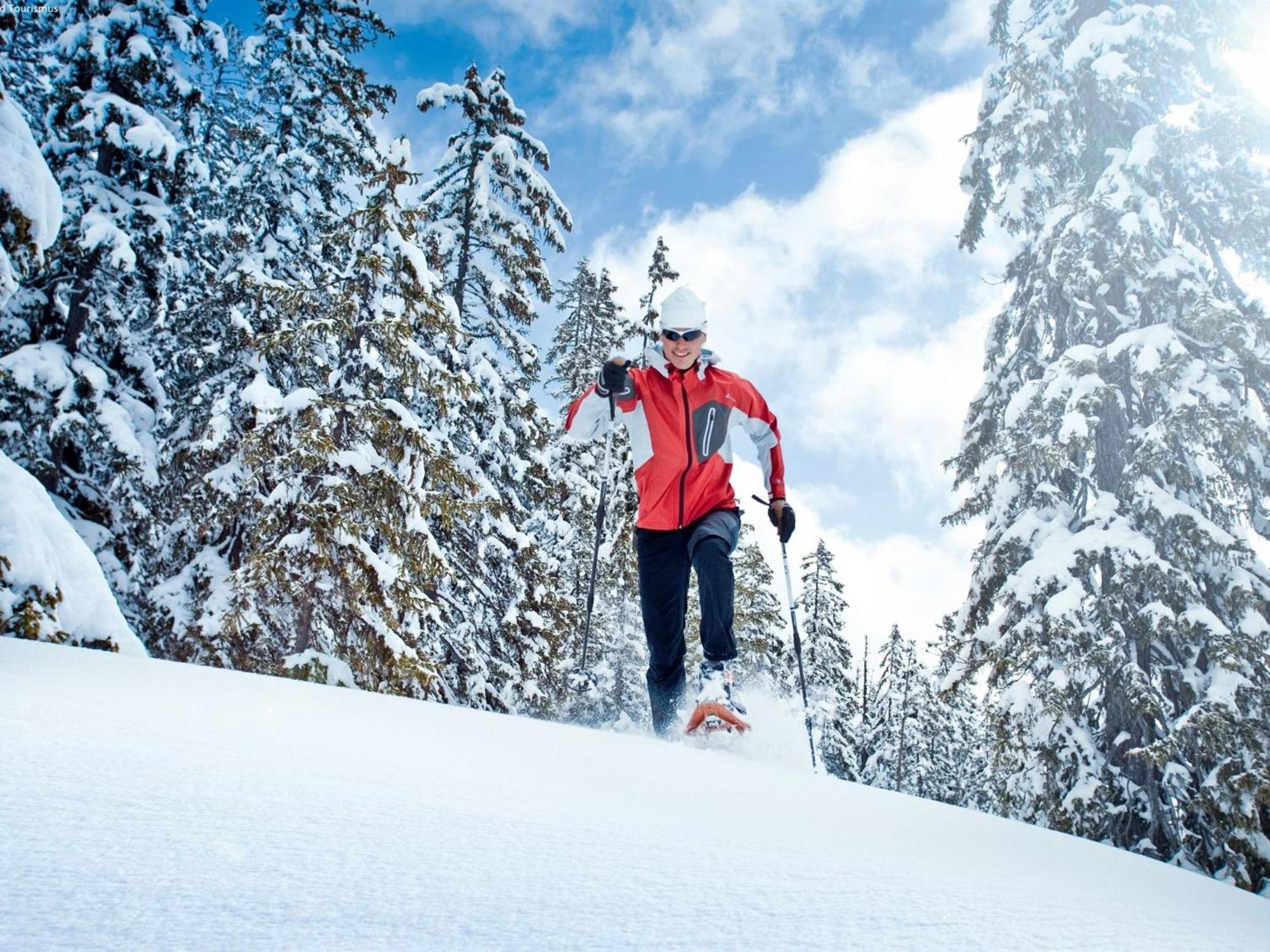 Chalet Huski Viehhofen Saalbach-Hinterglemm Ngoại thất bức ảnh